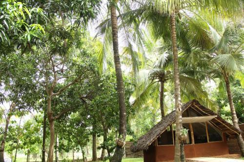 Hotel Ariya Tissa