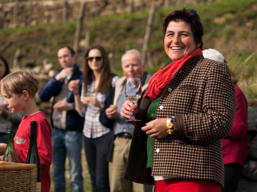 Gartenhotel & Weingut Pfeffel D�rnstein