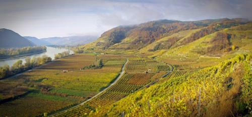 Gartenhotel & Weingut Pfeffel D�rnstein