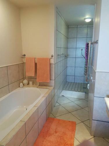 Apartamento Royal Albatros