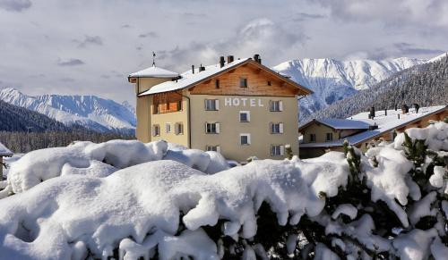 Hotel Alpenhof