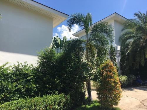 Hotel Samui Blue Orchid