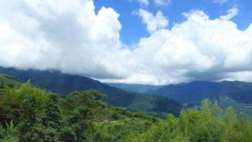 Alishan Tea Homestay
