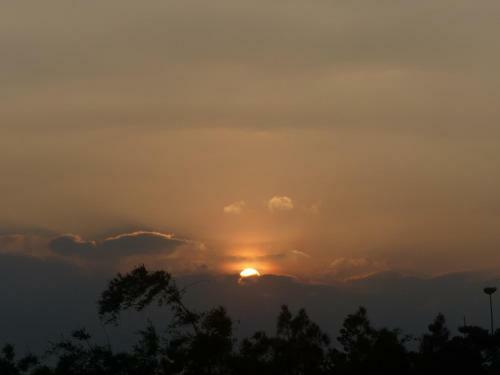 La View Homestay