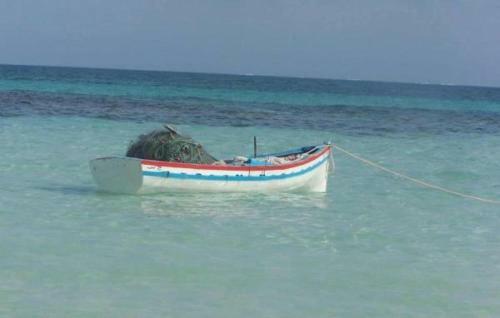 Bed & Breakfast Dar Biba