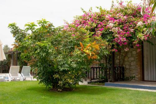 Hostal Suna House