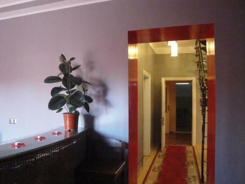 Hostal Assol
