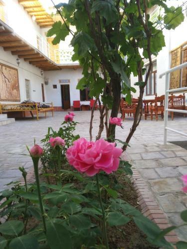 Bed & Breakfast Samani Bukhara