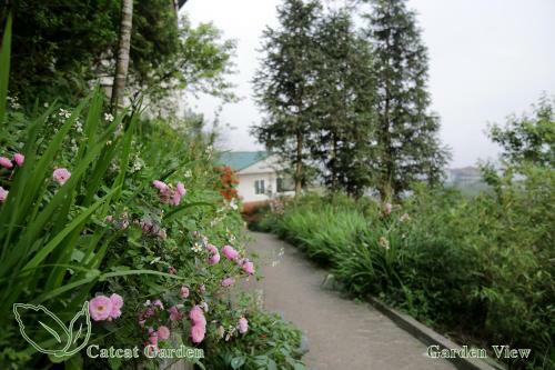 Cat Cat Garden Hotel