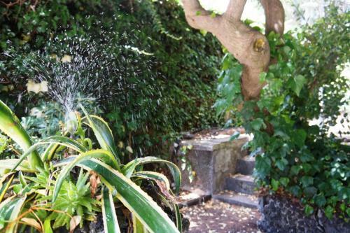 Bed & Breakfast Rosso Vulcano