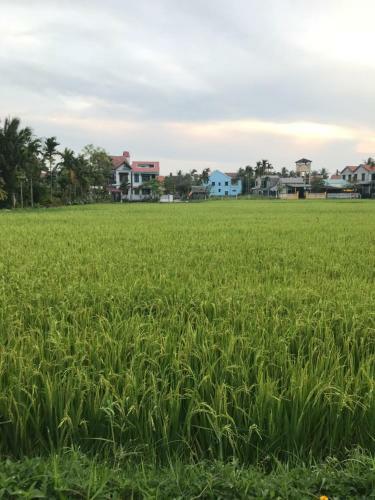 Family Homestay