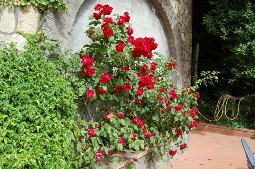 Hotel Villa Romita