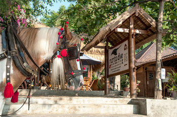 Hotel Manta Dive Gili Air