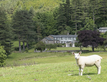 Hotel Ravenstone Lodge