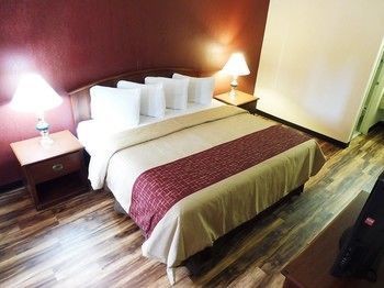 Hotel Red Roof Inn Edgewood