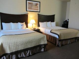 Hotel Baymont Inn & Suites Snyder
