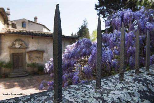 Bed And Breakfast Borgo Ponte Dell Asse