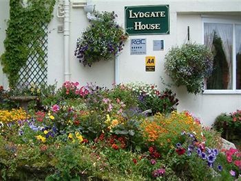 Bed & Breakfast Lydgate House Hotel