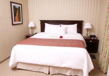 Hotel Quality Inn & Suites Downtown