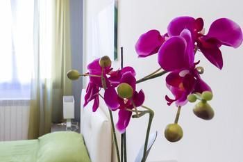 Accademia Style Apartments