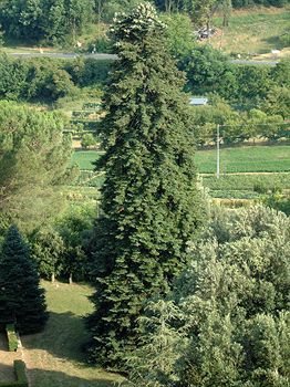 Residencia Castello Di Sovicille