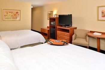 Hotel Hampton Inn Suites St Louisedwardsville