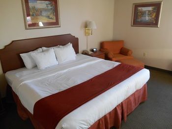 Hotel Quality Inn And Suites