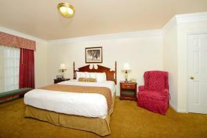 Hotel Best Western Spring Hill Inn & Suites