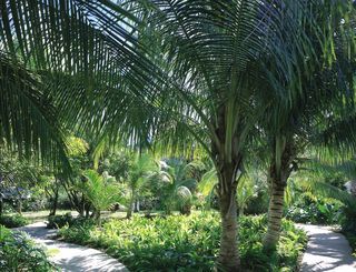 Hotel Carlisle Bay Antigua