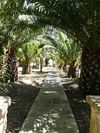 Agroturismo Es Palmer Oase