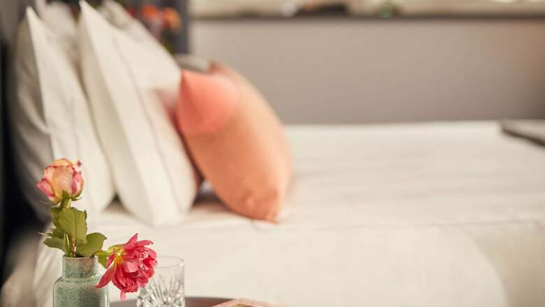 Hotel Park Plaza Vondelpark