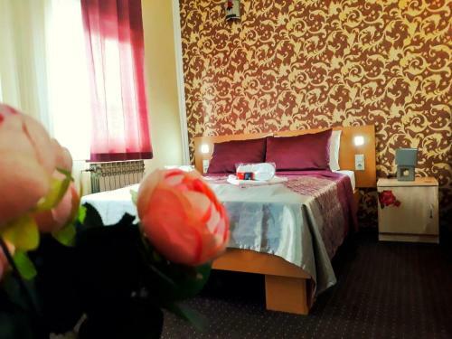 Hostal Hotel Irmak