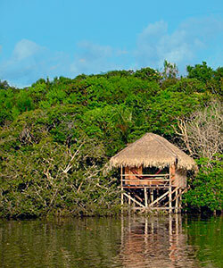 Hotel Juma Amazon Lodge