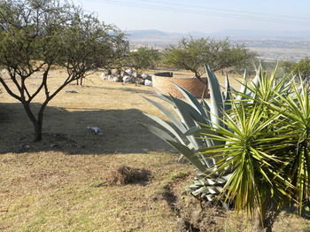 Vistahermosa