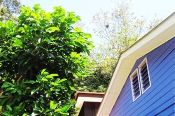 Hotel Foo Homestay