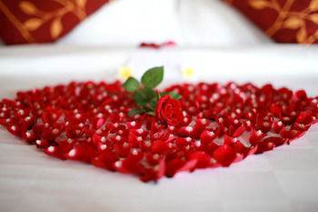 Hotel The Nirwana Resort And Spa