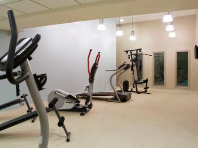 Hotel Holiday Inn Mulhouse