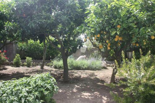 Bed & Breakfast Casetta Minghitto