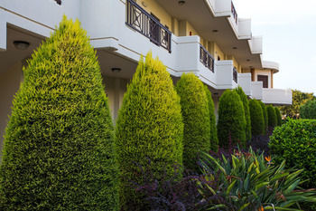 Aparthotel Stavros Melathron