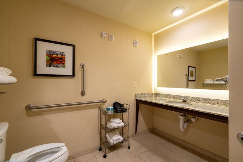 Hotel Holiday Inn Murfreesboro