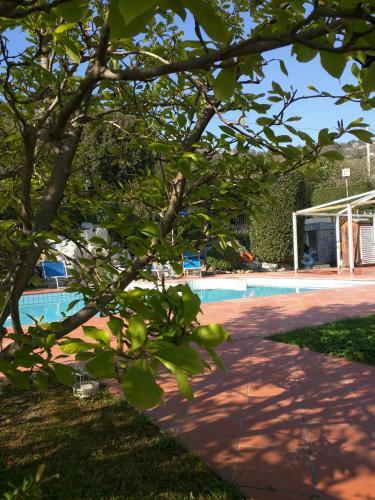 Hotel La Vigna
