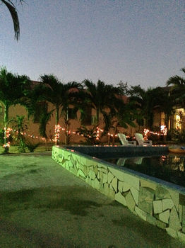 Hotel Super Palm Resort