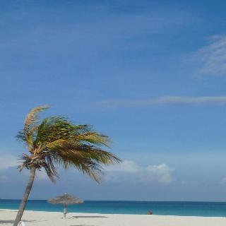 Hotel Mvc Eagle Beach Aruba