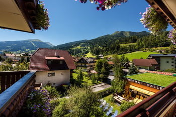 Hotel Alpina
