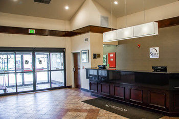 Hotel Sleep Inn And Suites Pineville