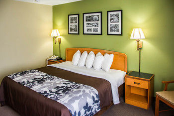 Hotel Sleep Inn And Suites Pineville
