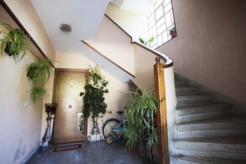 Apartamento Zelaikua - Basque Stay