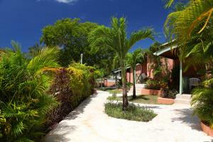 Hotel Halcyon Palm