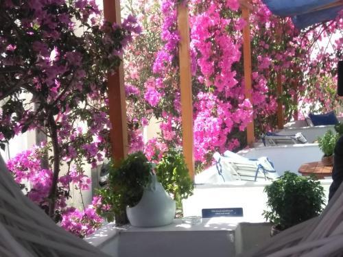 Doron Hotel Delfini