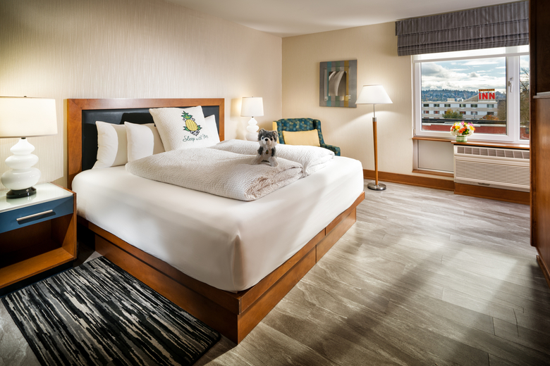 Staypineapple At Watertown Hotel